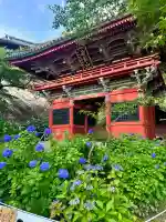 楽法寺(雨引観音)(茨城県)