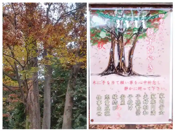 布多天神社(東京都)
