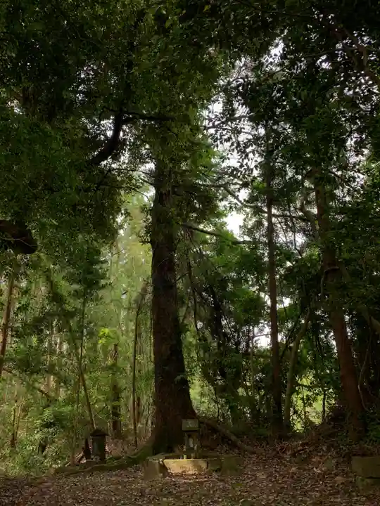 稲荷神社の本殿・本堂