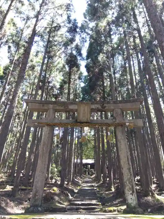 賀茂神社(京都府)