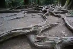 鞍馬寺の自然