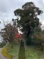 八幡神社のその他建物