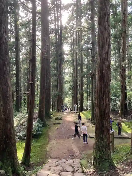 平泉寺白山神社(福井県)