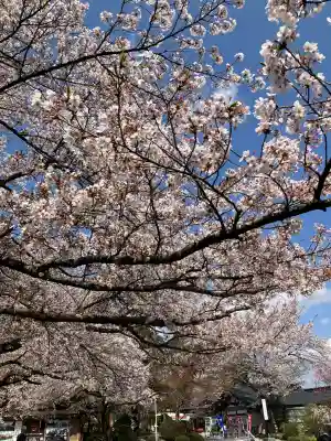 安住神社(栃木県)