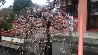 菅原神社の自然