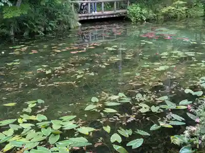 根道神社(岐阜県)