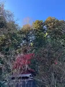 大宮温泉神社(栃木県)(2022年11月19日(土) 07時31分36秒投稿)