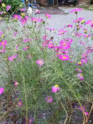 蓮田東照宮の自然