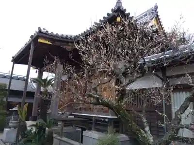 宝寿院(兵庫県)