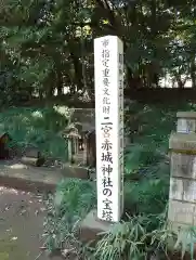 二宮赤城神社(群馬県)