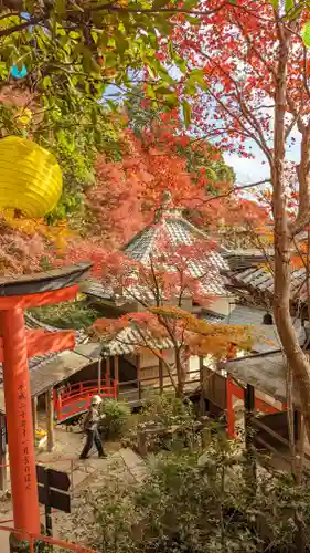 柳谷観音　楊谷寺(京都府)