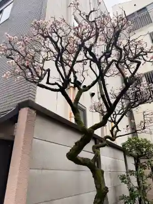 神楽坂安養寺の{uncategorized: "未分類", other: "その他", undefined: "問題あり", building: "その他建物", grave: "お墓", sacred_gate: "鳥居", guardian: "狛犬", statue: "像", buddha: "仏像", history: "歴史", nature: "自然", garden: "庭園", animal: "動物", pagoda: "塔", temizu: "手水舎", mountain_gate: "山門・神門", sanctuary: "本殿・本堂", subordinate: "末社・摂社", art: "芸術", scenery: "景色", jizo: "地蔵", ema: "絵馬", goshuin: "御朱印", omikuji: "おみくじ", items: "授与品その他", amulet: "お守り", goshuincho: "御朱印帳", eats: "食事", festival: "お祭り", votive_dance: "神楽", shichigosan: "七五三参", wedding: "結婚式", experience: "体験その他", initially: "初詣", around: "周辺", anti_infection: "感染症対策"}