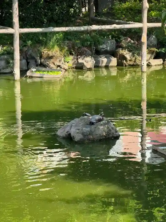 亀戸天神社(東京都)