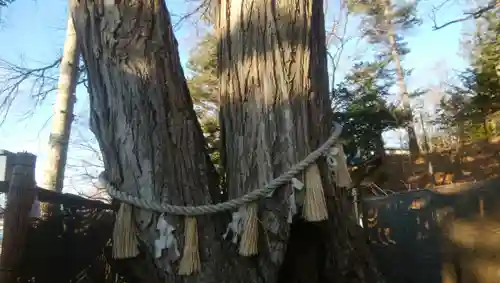 浦幌神社・乳神神社の自然