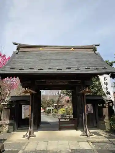 玉泉寺の山門