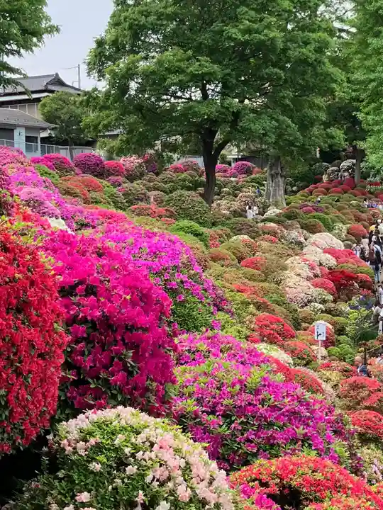 根津神社(東京都)