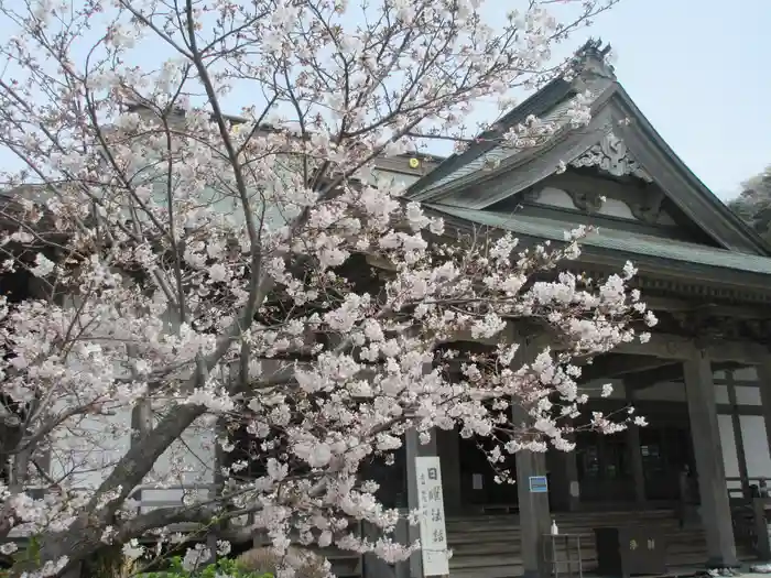 光明寺の建物その他