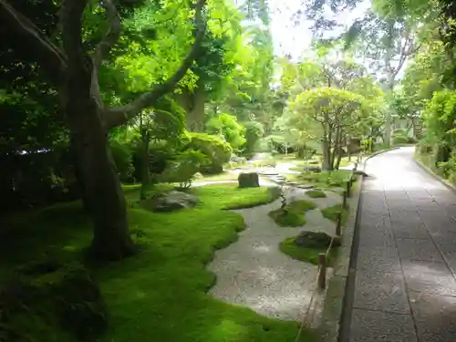 報国寺の庭園