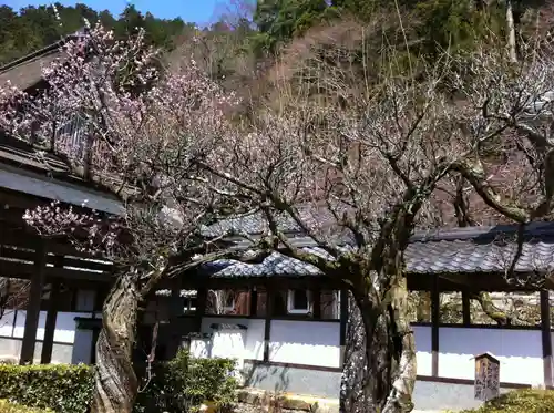 永源寺の建物その他