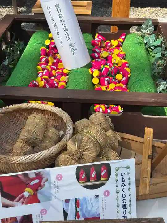 川越氷川神社(埼玉県)