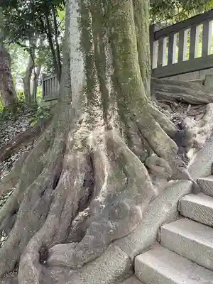 仙波東照宮(埼玉県)