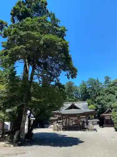 奥石神社の建物その他