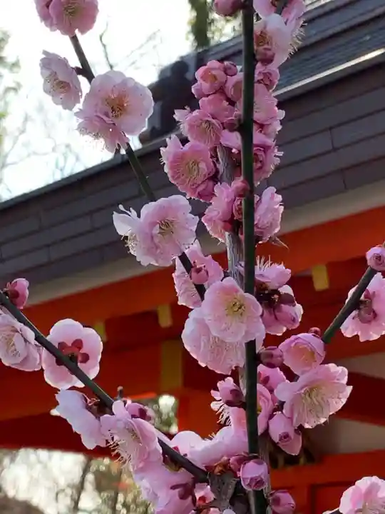 北野天満宮の自然