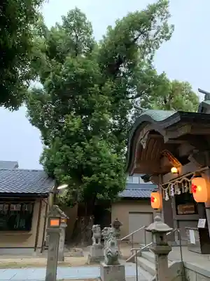 高柳神社(大阪府)