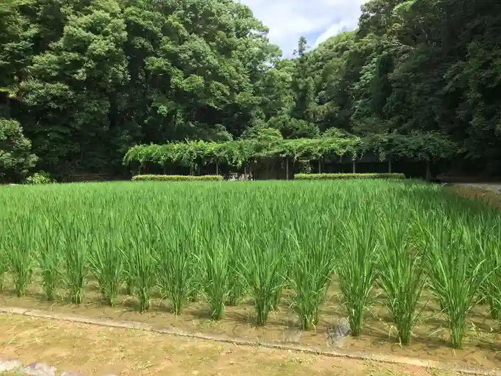猿田彦神社の庭園