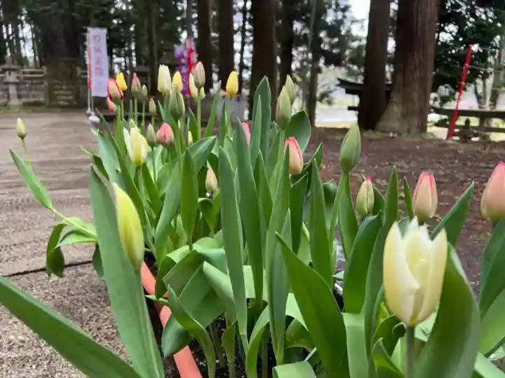 大宮温泉神社の自然