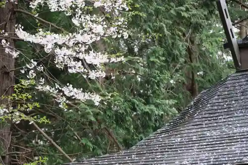 王宮伊豆神社の自然