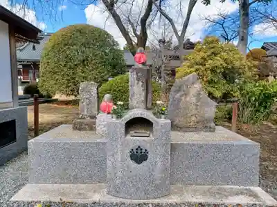 廣渡寺(埼玉県)