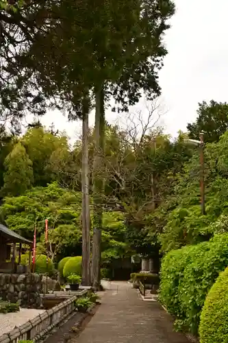 長泉院(埼玉県)