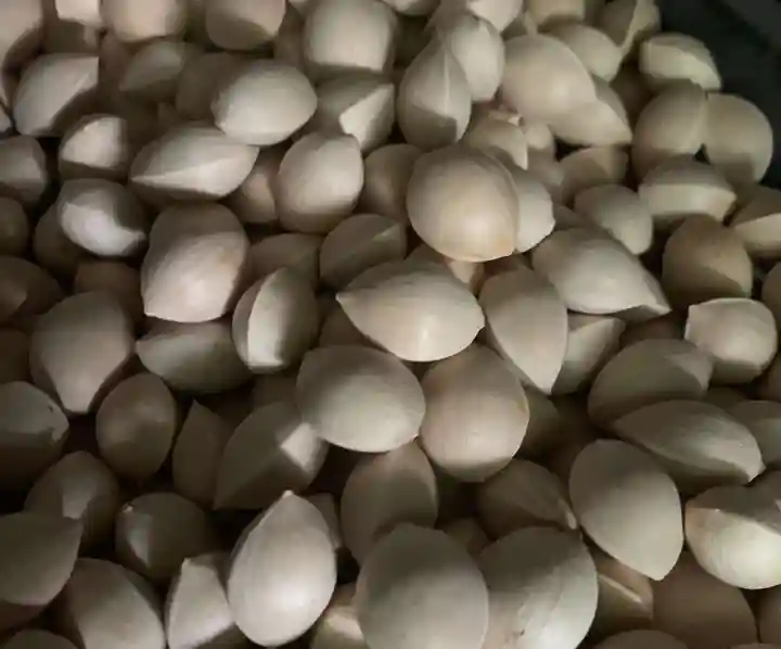 子安神社(茨城県)