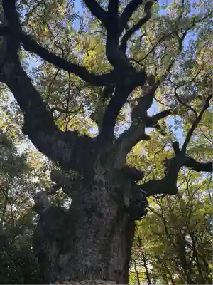 熱田神宮(愛知県)