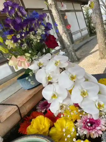 春日神社(徳島県)