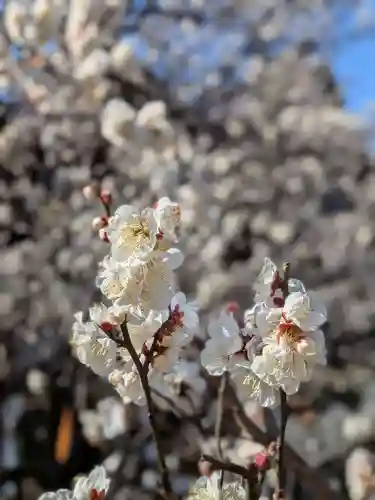 福蔵院(東京都)