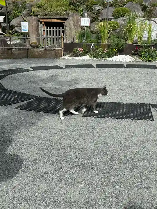 不二阿祖山太神宮(山梨県)