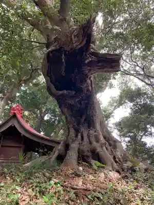 香取神社(千葉県)