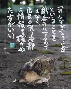 専念寺(大阪府)(2022年08月01日(月) 21時41分42秒投稿)