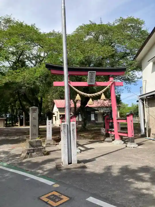 五社神社の{uncategorized: "未分類", other: "その他", undefined: "問題あり", building: "その他建物", grave: "お墓", sacred_gate: "鳥居", guardian: "狛犬", statue: "像", buddha: "仏像", history: "歴史", nature: "自然", garden: "庭園", animal: "動物", pagoda: "塔", temizu: "手水舎", mountain_gate: "山門・神門", sanctuary: "本殿・本堂", subordinate: "末社・摂社", art: "芸術", scenery: "景色", jizo: "地蔵", ema: "絵馬", goshuin: "御朱印", omikuji: "おみくじ", items: "授与品その他", amulet: "お守り", goshuincho: "御朱印帳", eats: "食事", festival: "お祭り", votive_dance: "神楽", shichigosan: "七五三参", wedding: "結婚式", experience: "体験その他", initially: "初詣", around: "周辺", anti_infection: "感染症対策"}