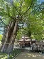 筒賀大歳神社(広島県)