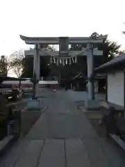 前玉神社の鳥居