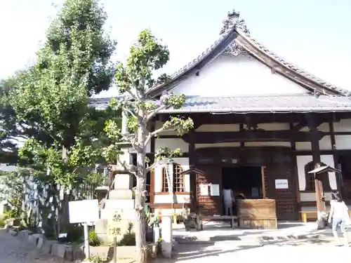 松應寺の本殿・本堂