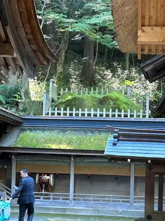 諏訪大社(長野県)