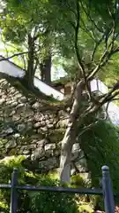 西教寺の建物その他