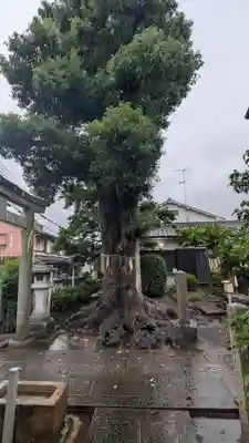 安樂寺天満宮(京都府)