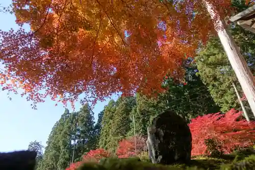 古知谷阿弥陀寺の自然
