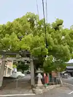 八幡神社の鳥居