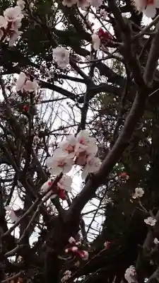 居木神社(東京都)